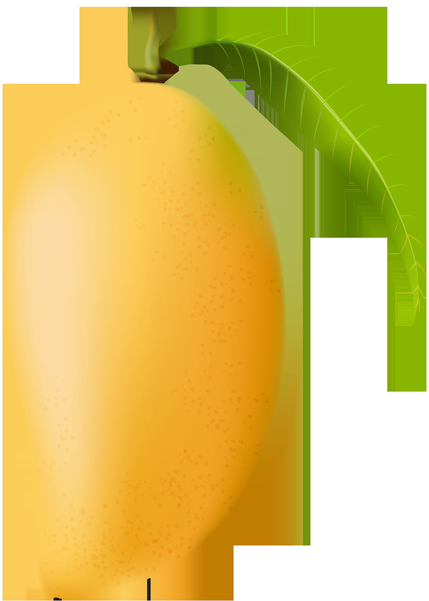 Mango PNG Küçük â Yüksek Kaliteli Ve Şeffaf PNG Küçük , Meyve Mango HD telefon duvar kağıdı